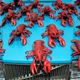 Image for article titled Influencer From New York City Attempts to Re-Wild Some Lobsters in Maine